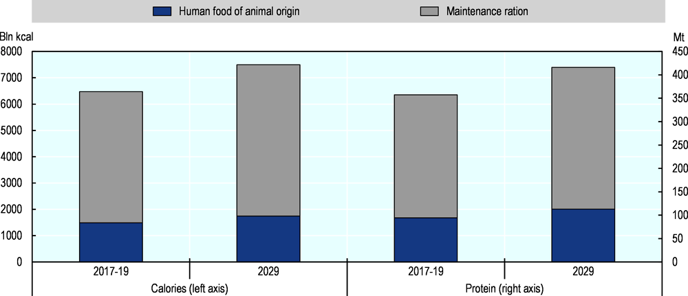 Figure 1.10. Global feed energy and protein use